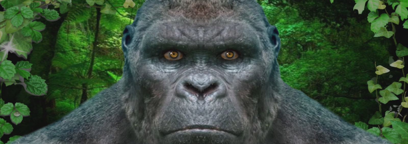 Kong